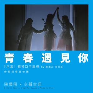 黄色三级电影片
