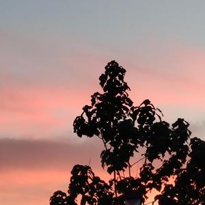 黄色三级电影片
